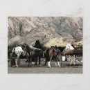 Suche nach reiten postkarten Cool