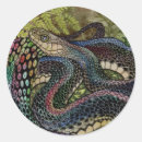 Suche nach snakes aufkleber Reptil