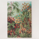 Suche nach ernst haeckel puzzle Pflanze