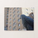 Suche nach owl alle puzzle Eule