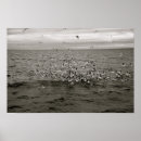 Suche nach isländisch poster Island