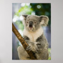 Suche nach brisbane poster Ozeanien