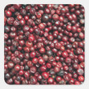 Suche nach rote beeren aufkleber Frucht