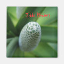 Suche nach jade magnete Grün