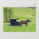 Suche nach pferd und buggy postkarten Ländlich