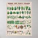 Suche nach vintage gemüse poster Botanisches