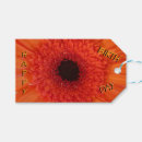Suche nach orange gerbera Jede person