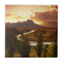 Suche nach snake fliesen Wyoming