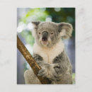 Suche nach queensland postkarten Natur