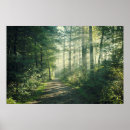 Suche nach fußweg poster Baum