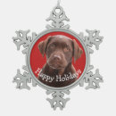 Suche nach schokoladen labrador ornamente Für haustiere