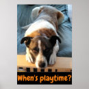 Suche nach hundeplakat Haustiere