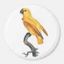 Suche nach parrot magnete Papagei