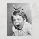 Suche nach budgie postkarten Parakeet