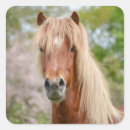 Suche nach pferdekopf aufkleber Pony