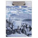 Suche nach pinguin klemmbrett Schnee