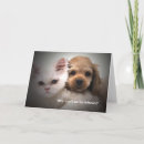 Suche nach warum… postkarten Freund