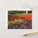 Suche nach keukenhof postkarten Quelle