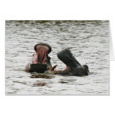 Suche nach stoßzähne postkarten Stoßzahn