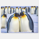 Suche nach wildtiere magnete Natur