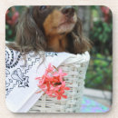 Suche nach kein haar untersetzer Hund