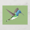 Suche nach transparent postkarten Blau