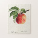 Suche nach roter apfel puzzle Frucht
