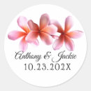 Suche nach rosa plumeria aufkleber Tropische blume