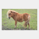 Suche nach pony aufkleber Jede person