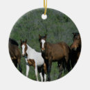 Suche nach mustang ornamente Wild