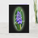 Suche nach wohlwollen Blume