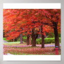 Suche nach rote bäume poster Herbst