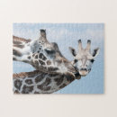 Suche nach kalb puzzle Farbbild