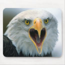 Suche nach weißkopfseeadler mousepads Natur