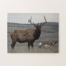Suche nach antilopen puzzle Gabelbock
