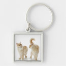 Suche nach in voller länge schlüsselanhänger Studioschuß