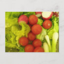 Suche nach salat postkarten Früchte