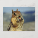 Suche nach lebensmittel postkarten Essen