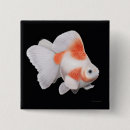 Suche nach goldfisch buttons Teich