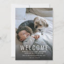 Suche nach hunde fotokarten Jede person