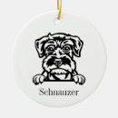 Suche nach schnauzer ornamente Verzierung