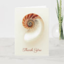 Suche nach seashells karten Jede person