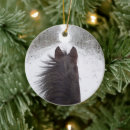 Suche nach schwarzes pferd ornamente Winter