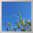 Suche nach grünes flugzeug poster Blau