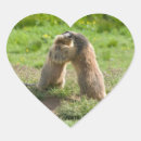 Suche nach marmot aufkleber Für alle