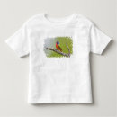 Suche nach singende vögel tshirts Vogel