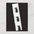 Suche nach kamera postkarten Lustig