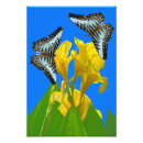 Suche nach erweiterung poster Tierwelt