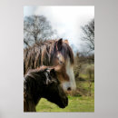 Suche nach pferd poster Reiten