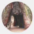 Suche nach mammutbaum aufkleber Yosemite
